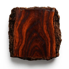 Czarna dalbergia