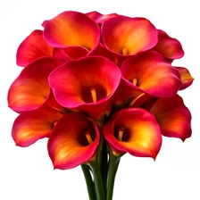 Kalla