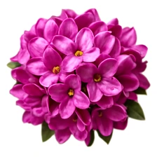 Wawrzynek (Dafne)