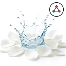 Aquaflora