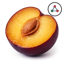 Prunol