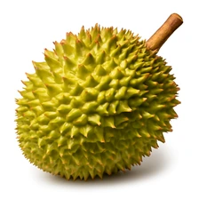Durian