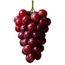 Grona Pinot Noir