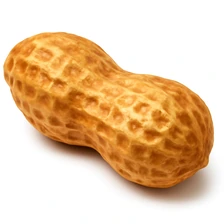 Orzech ziemny