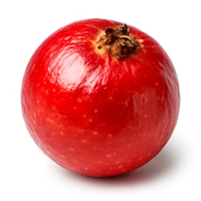 Quandong (Pustynna brzoskwinia)
