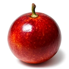 Tamanu