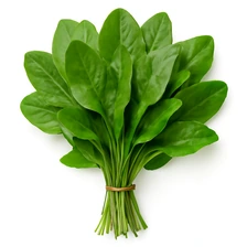 Sok