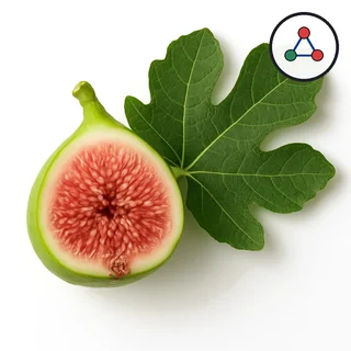 Figolide™