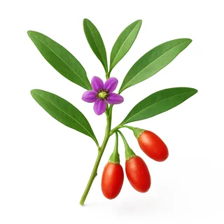 Liść goji