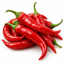 Czerwona papryczka chili