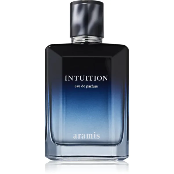 Intuition