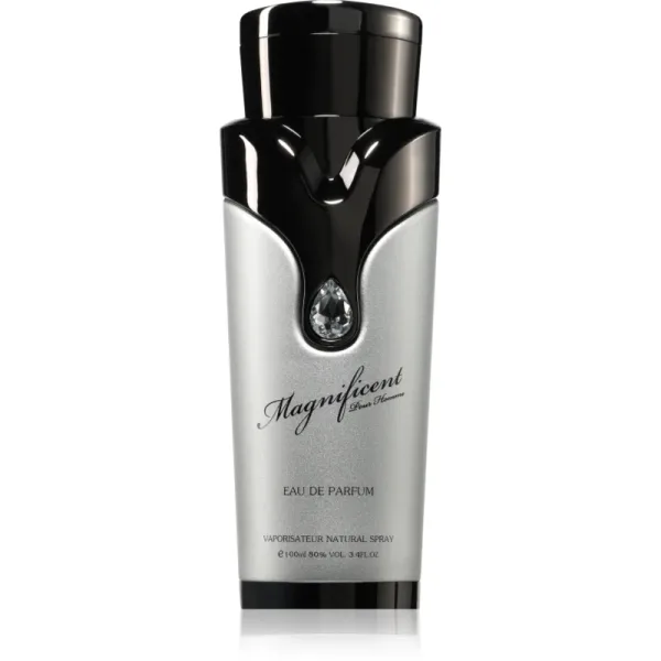 Magnificent Pour Homme