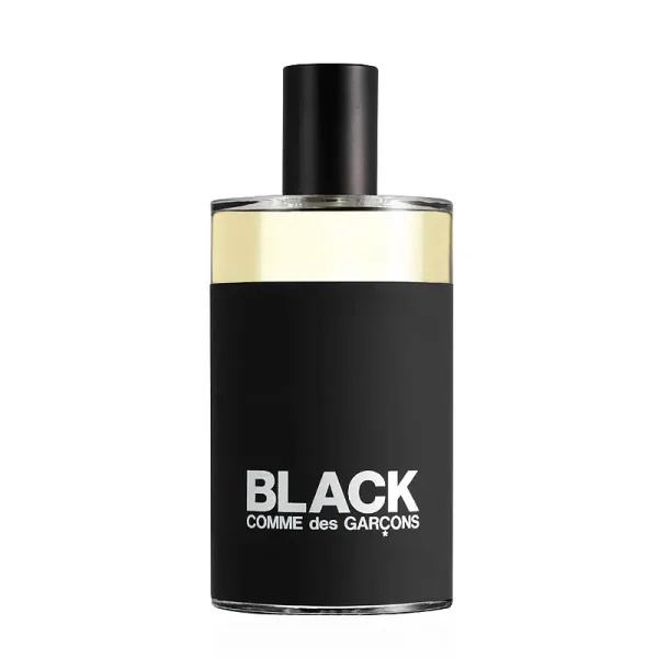 Black Comme des Garcons