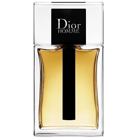 Dior Homme