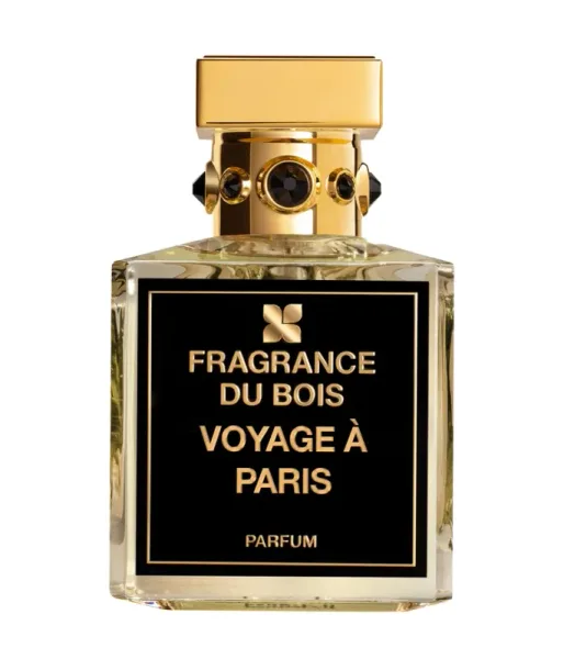Voyage à Paris