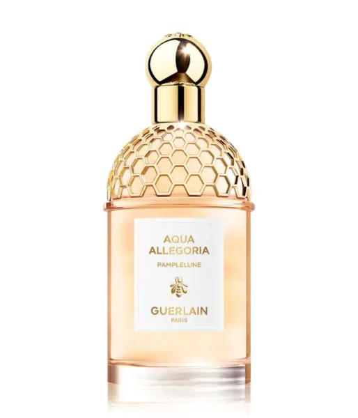 Aqua Allegoria Pamplelune