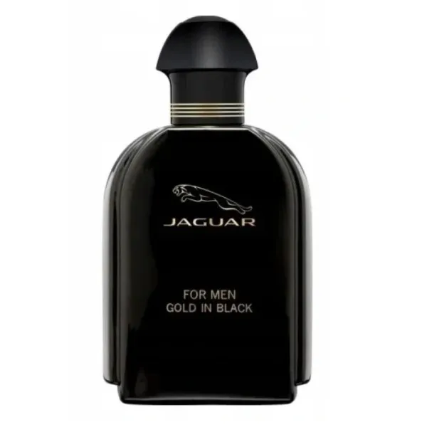 Jaguar For Men Gold in Black