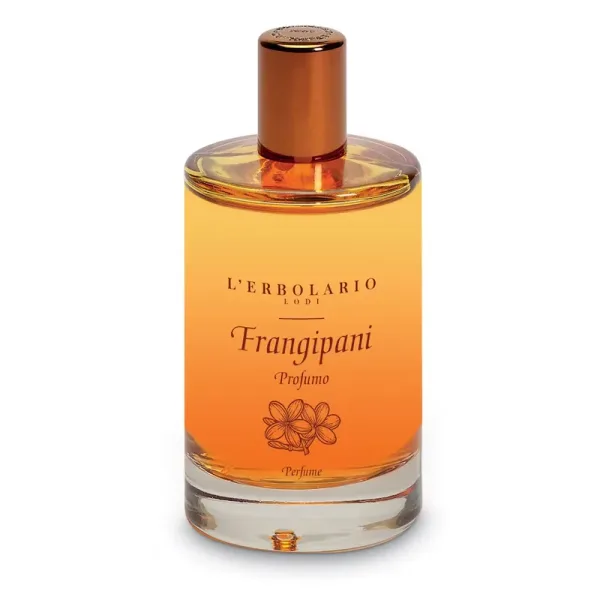 Frangipani