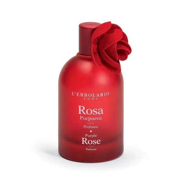 Rosa Purpurea
