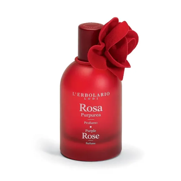 Rosa Purpurea