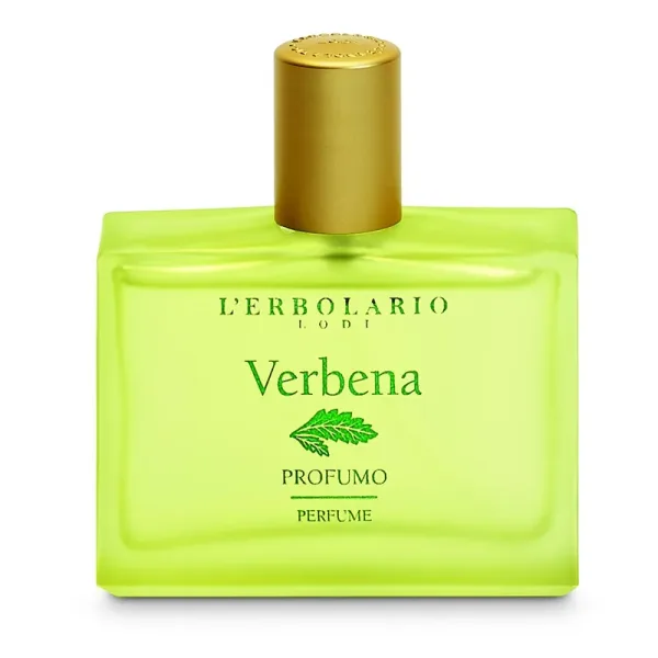 Verbena