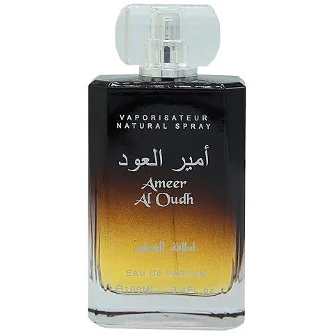 Ameer Al Oudh