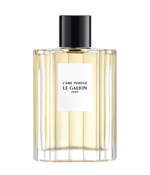 L'Ame Perdue