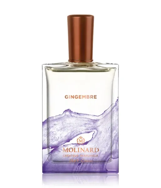 Gingembre