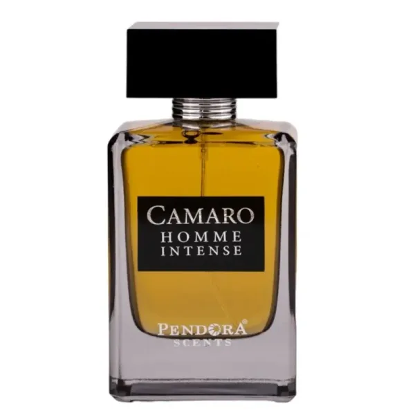 Camaro Homme Intense