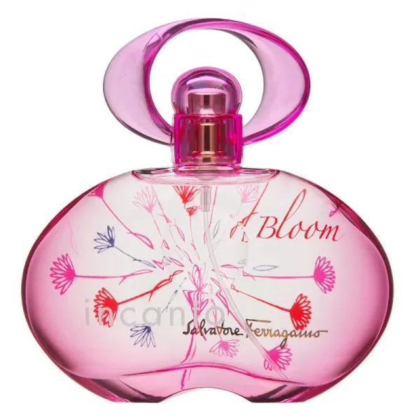 Incanto Bloom